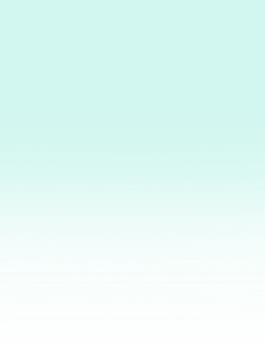 マキシフォートについて